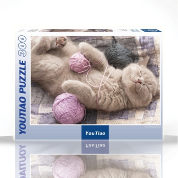 The Playful Cat